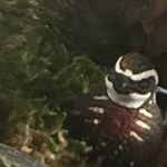 Profile Picture of Eric Osbourne (@osbourneeric) on Instagram