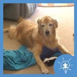 Profile Picture of Debbie Savino (@debbie.savino.3) on Instagram