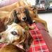 Profile Picture of Sandra Donahue (sandra hinsch donahue) (@sandra.donahue.18) on Facebook