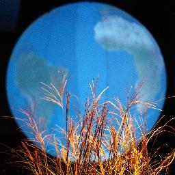 Profile Picture of MARC LE MERCIER (@1512196735Liger) on Twitter