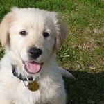 Profile Picture of Walter Dirks (@liwa.dirks) on Instagram