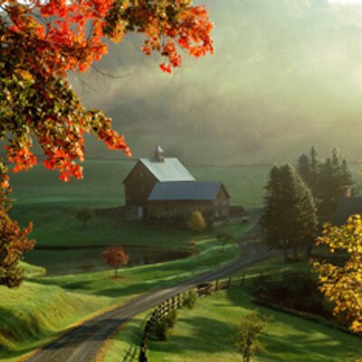 Profile Picture of Alexander Novoa (@alexandernovoa6) on Twitter