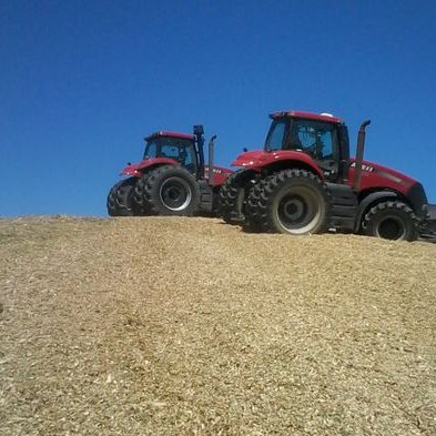 Profile Picture of Omar Daniel Aguiar (@OmarDanielAgui1) on Twitter