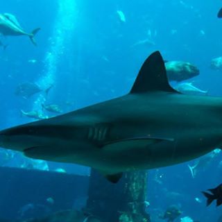 Jim Upton - Facebook Profile Picture of Jim Upton (@jim.upton.102) on Facebook