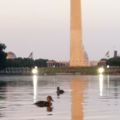 Profile Picture of Dead Account6 (@Noah_gibb57) on Twitter