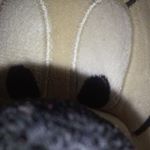 Profile Picture of Fred Quinn (@fred.quinn.5477) on Instagram