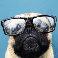 Profile Picture of James Norman (@james-norman-53) on Quora