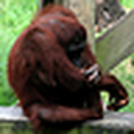 Profile Picture of Justin Yarbrough (@fatelvis04) on Flickr