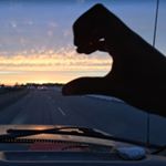 Profile Picture of Ivy Kidd (@pineappleivy1220) on Instagram