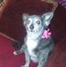Profile Picture of Sherri Bernal (@sherri.bernal.3) on Facebook