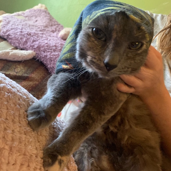 Profile Picture of Jenna Chase (@jencchas) on Poshmark