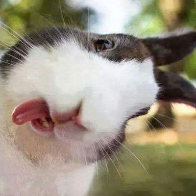 Victor Warner - Twitter Profile Picture of Victor Warner (@vjaiwarnerp) on Twitter