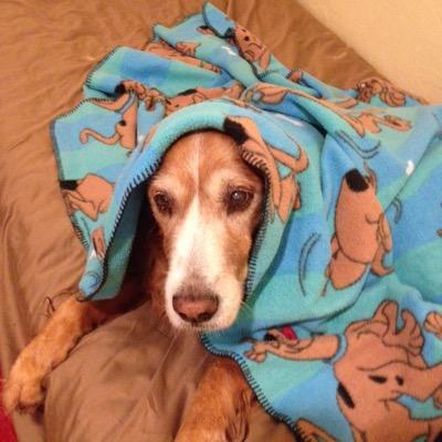 Profile Picture of Wayne Shoemaker (@waynejshoemaker) on Twitter