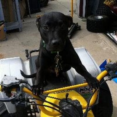 Profile Picture of Cody Berg (@BergIsDaWord) on Twitter