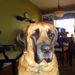 Profile Picture of Pam Byerly (@pbyerly) on Pinterest