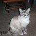 Profile Picture of Joyce Bartram (@joyce.bartram.77) on Facebook