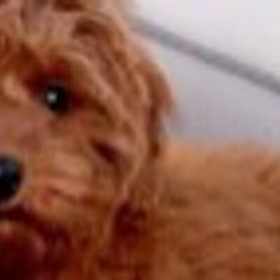 Profile Picture of Kaitlyn Littler (@JacobJodie) on Twitter