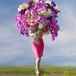 Profile Picture of Janet Delgado (@steigerrinkeldelgado) on Instagram