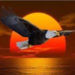 David Goossens - Instagram Profile Picture of David Goossens (@david7890goossens) on Instagram