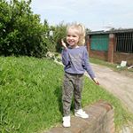 Profile Picture of Gustavo Jauregui (@gustavo.jauregui.319) on Instagram