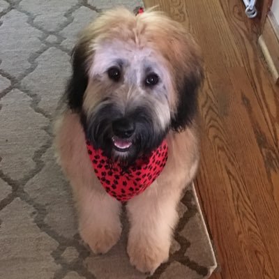 Profile Picture of Andrew Washack (@AndrewWashack) on Twitter