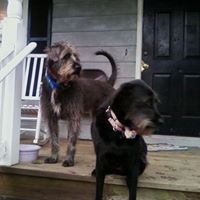 Profile Picture of Janice Thomas (@janice-thomas-48) on Quora