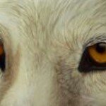 Profile Picture of Kimberly Handspiker (@kimberlyhandspiker) on Instagram