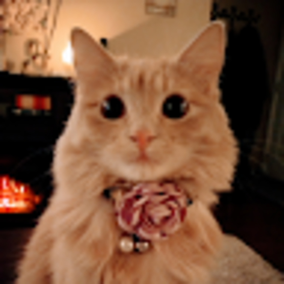 Profile Picture of Rose Sutterfield (@rosiebudd67) on Poshmark