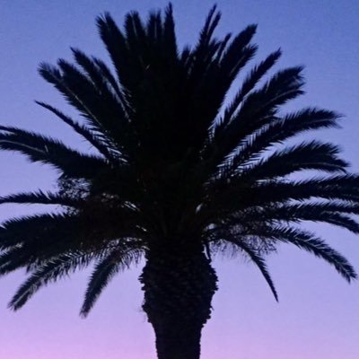 Profile Picture of Lara__wilkinson (@larawilkinson13) on Twitter