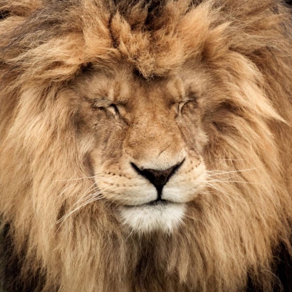 Profile Picture of J Edwards (@jnayrdh) on Poshmark