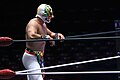 Profile Picture of Guerrero Maya Jr.on Wikipedia