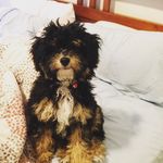 Profile Picture of Tucker Adler Keller (@bad_mothertucker) on Instagram