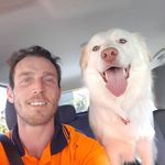 Profile Picture of peter schickerling (@schickerlingpeter) on Instagram