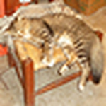 Profile Picture of Jose Alfredo Gonzalez (@Alfi_621) on Flickr