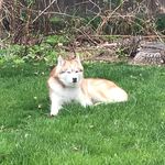 Profile Picture of Sarah Ray Pickard (@raysarahp) on Instagram