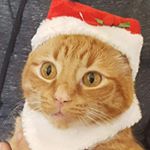 Profile Picture of Adam Janisse (@adam.janisse) on Instagram