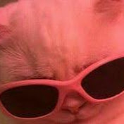 Profile Picture of Ariel Lam (@ariellam9544) on Youtube