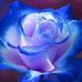 Profile Picture of June Gregor (@june.gregor.56) on Facebook