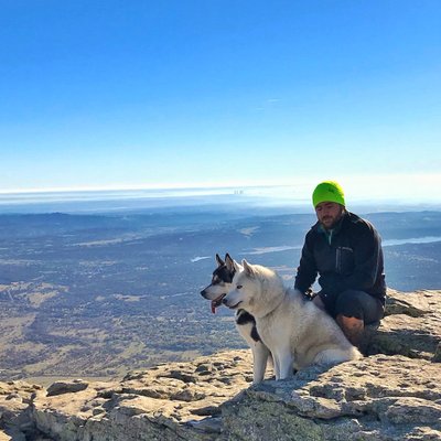 Profile Picture of Ivan Haro Egea ® (@IvanHaro22) on Twitter