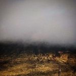 Profile Picture of Andrew tuell (@thereal_boink) on Instagram