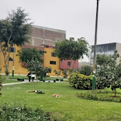 Jesus Luis Bedon Asencios - Youtube Profile Picture of Jesus Luis Bedon Asencios (@jesusluisbedonasencios2610) on Youtube