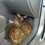 Profile Picture of Janet Agee (@janetagee) on Instagram