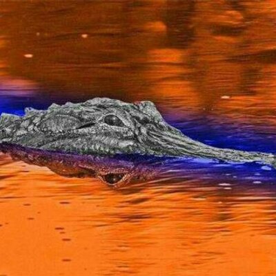 Profile Picture of Randy Casteel (@pocix2) on Twitter