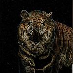 Profile Picture of danny dowling (@dannydowling312) on Instagram