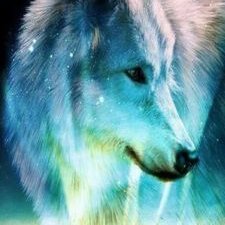 Mason Shepard Grover - Twitter Profile Picture of Mason Shepard Grover (@vanossgaming300) on Twitter