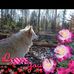 Profile Picture of Kyle Choi (@kyle.choi.7737) on Facebook