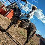 Profile Picture of Adan Zamorano (@adan_zamorano) on Instagram