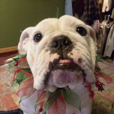 Profile Picture of Phyllis Cartwright (@PhyllisCartwri3) on Twitter