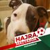 Profile Picture of Ádám Bata (@adam.bata.589) on Facebook