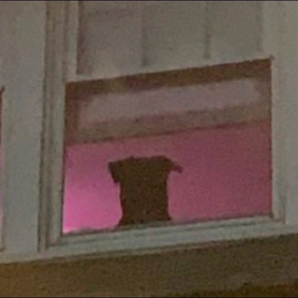 Profile Picture of Owen Stark (@ojsworld) on Poshmark